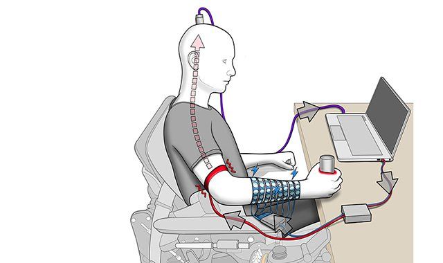 đȘ Forskare ger kĂ€nseln Ă„ter till förlamad