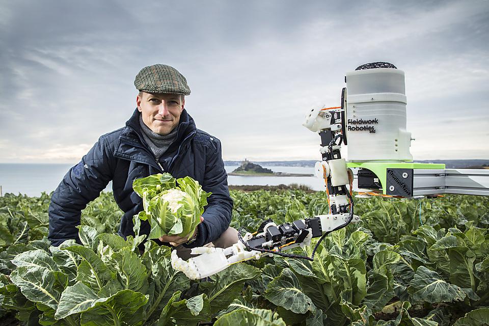 đ Robocrop - roboten som ska plocka blomkĂ„l