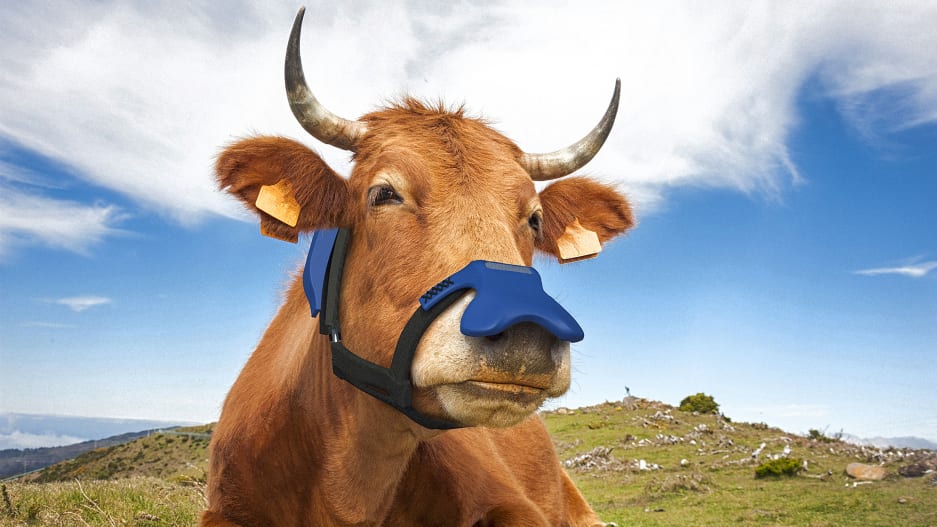 đź En ny metanreducerande mask för kor