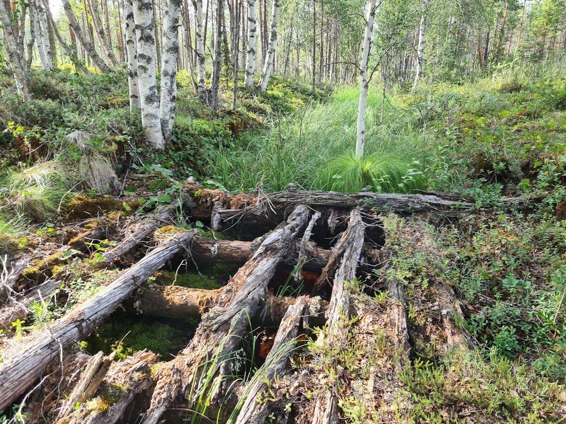 đ§ AI underlĂ€ttar klimatanpassning genom att hitta dolda diken