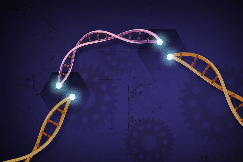 "CRISPR Cas9" av National Institutes of Health (NIH)