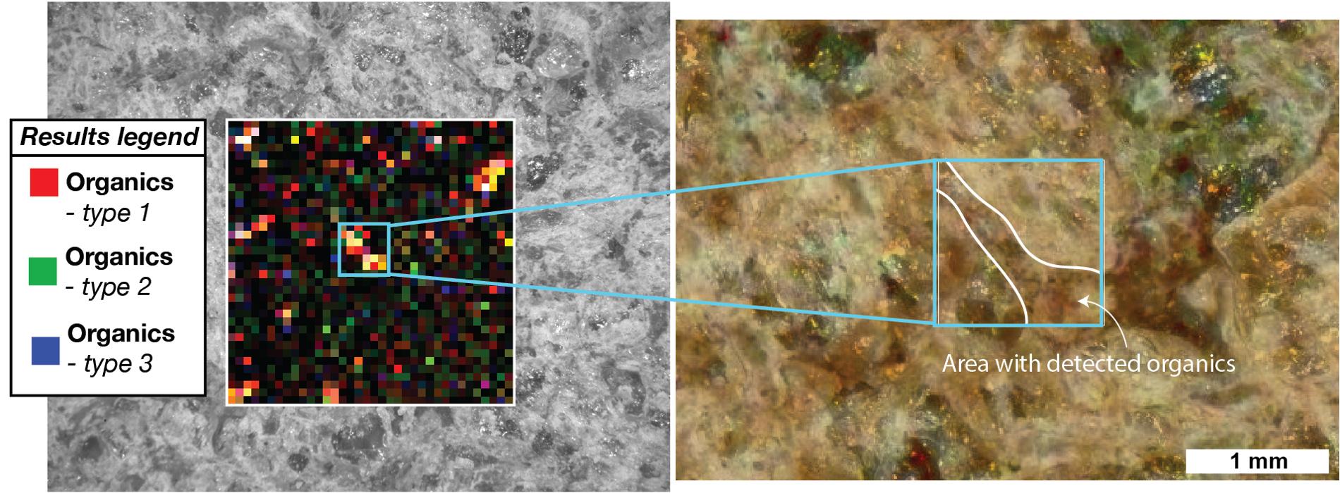 đŹ Organisk materia pĂ„ Mars