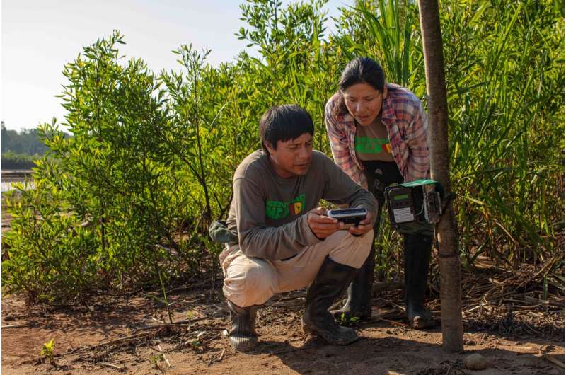 đ Ny enorm databas över Amazonas djurliv