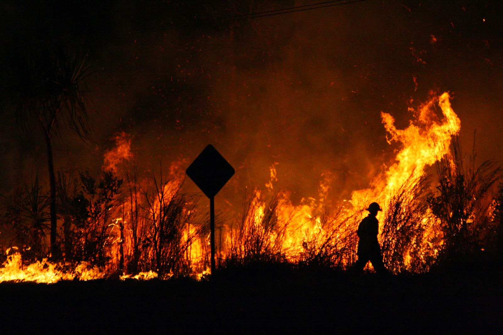 đ„ XPRIZE Wildfire: TĂ€nder en global gnista för att hantera skogsbrĂ€nder