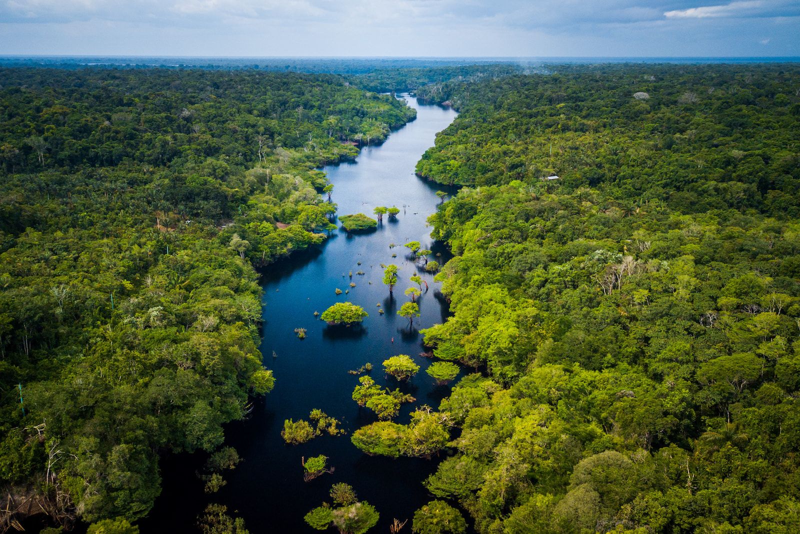 đł Avskogningen i Amazonas har minskat med en tredjedel