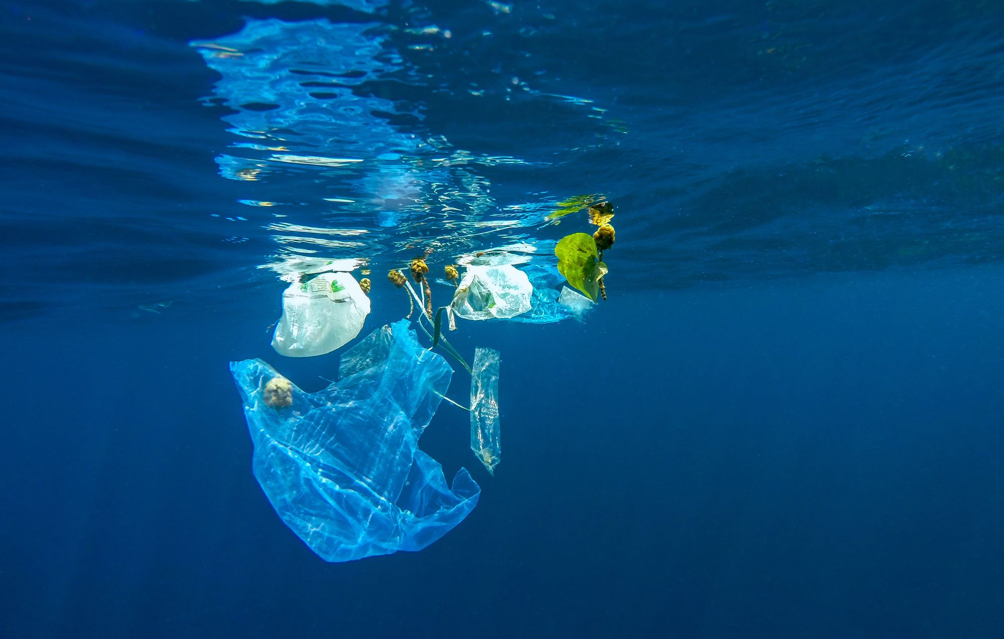 đ Mindre plast i haven Ă€n tidigare antaget, menar hollĂ€ndsk forskare