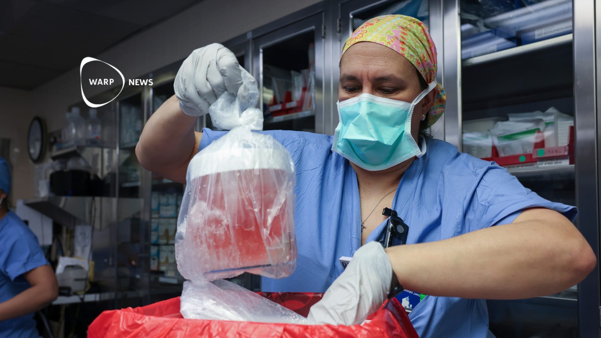 đ Genmodifierad grisnjure transplanterad till mĂ€nniska för första gĂ„ngen