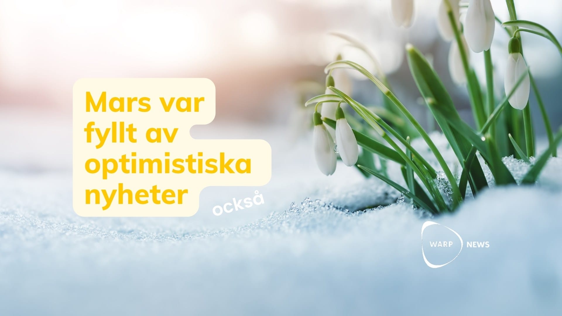 đĄ 27 faktabaserade optimistiska nyheter frĂ„n mars