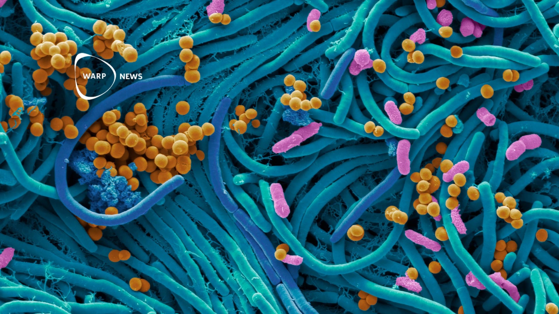 đŠ AI hittar nĂ€stan 1 miljon nya antibiotika - framsteg i kampen mot antibiotikaresistens