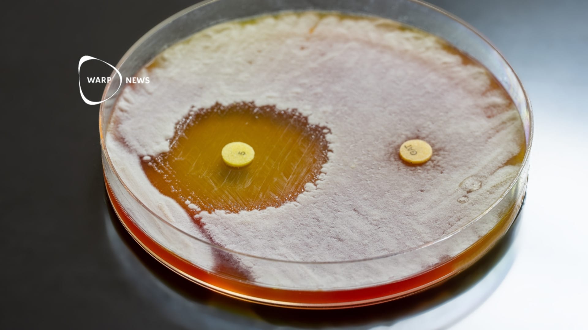 đ§« DARTS tar upp kampen mot antibiotikaresistens
