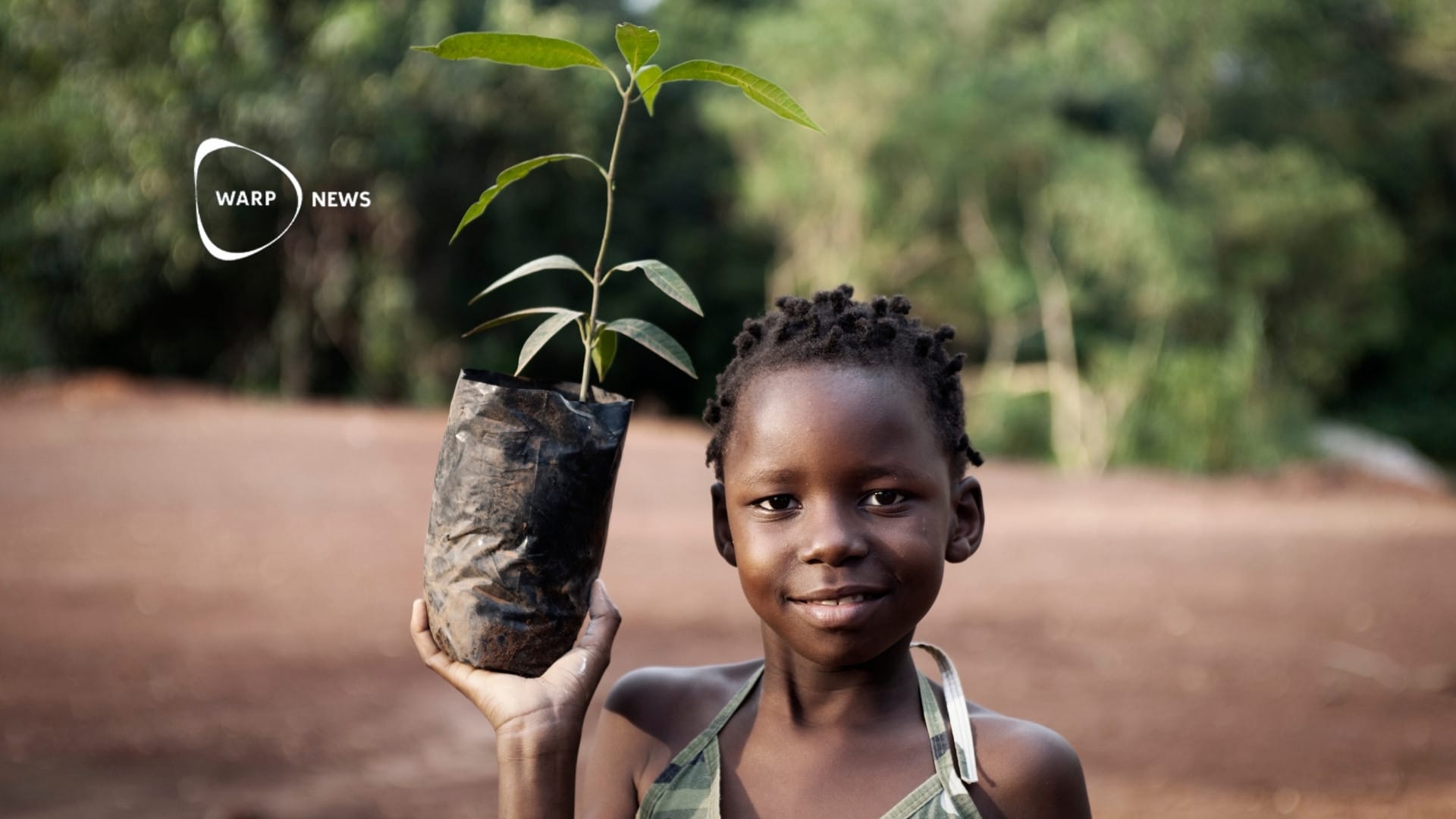 đł 100 miljoner trĂ€d planteras i Afrika för att minska koldioxid i atmosfĂ€ren