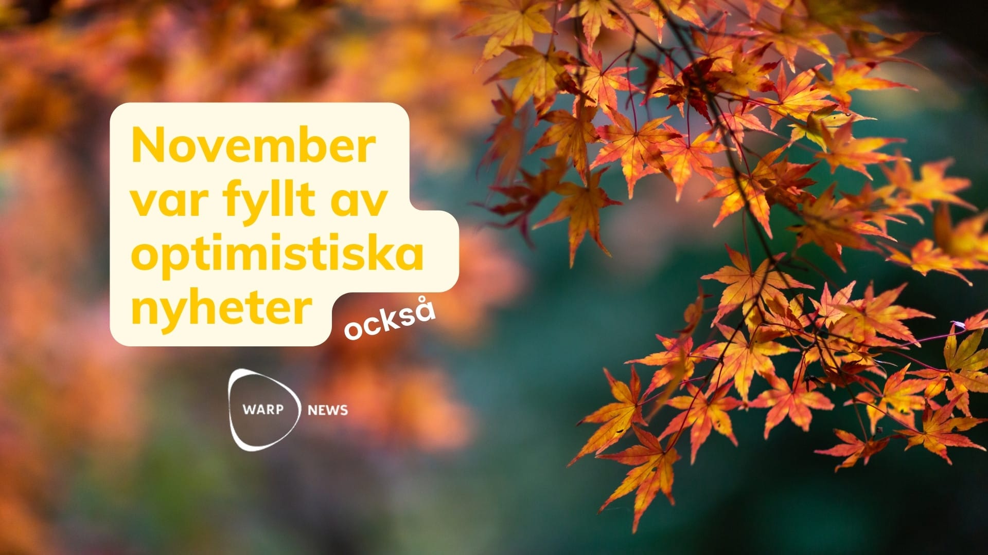 đĄ Faktabaserade optimistiska nyheter frĂ„n november