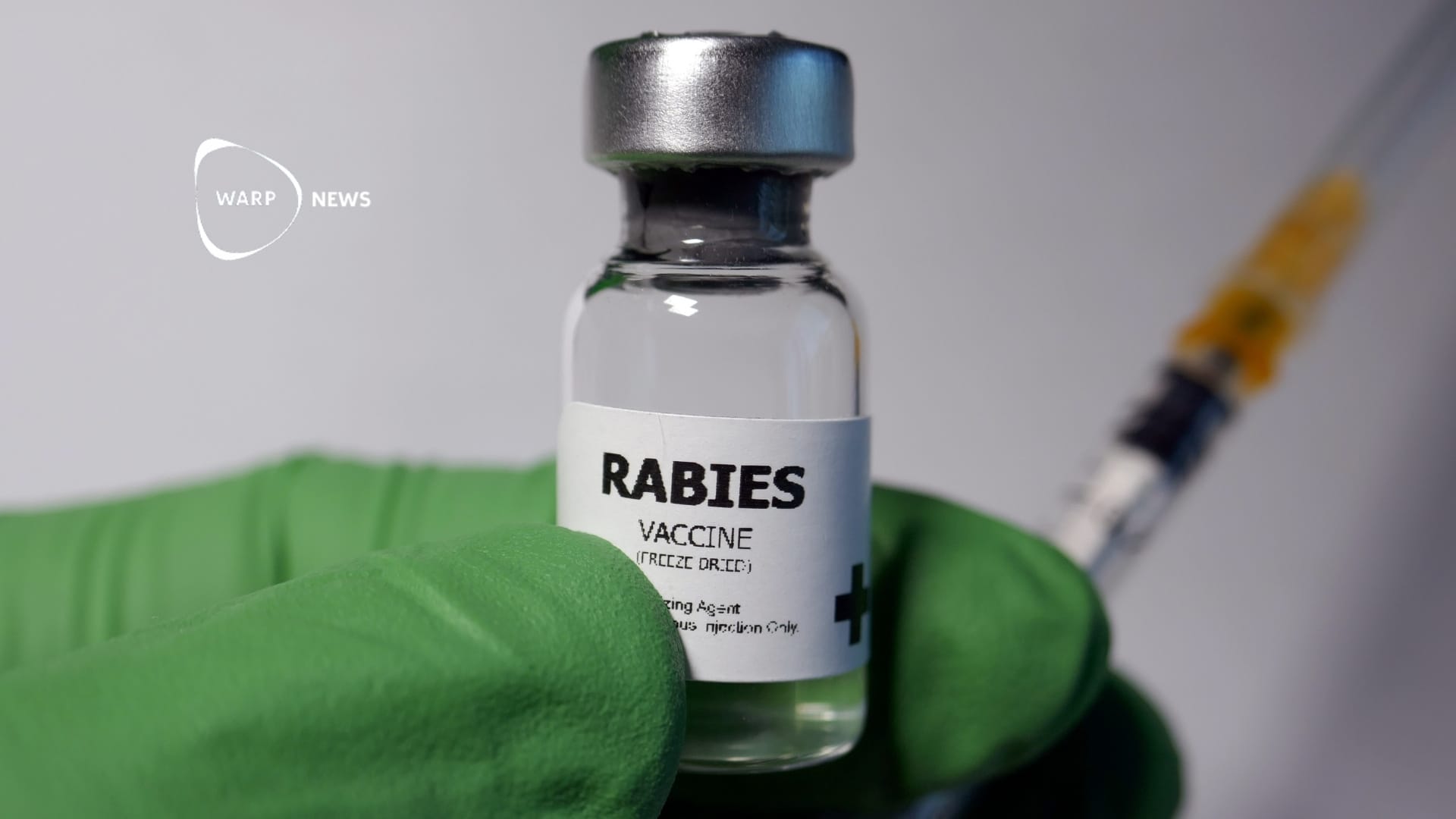 đ Nytt projekt ska utrota rabies i över 50 lĂ„ginkomstlĂ€nder