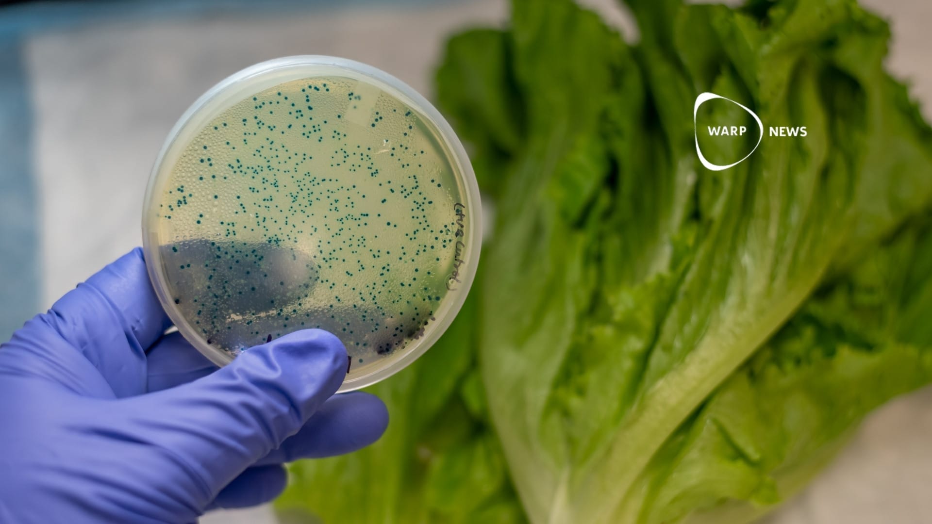 đŠ AI skapar virus som dödar E. coli-bakterier