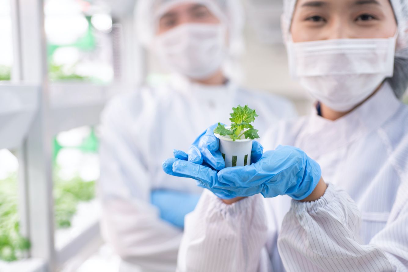 🥕 Matbristen är en myt – här är tekniken som mättar framtidens magar