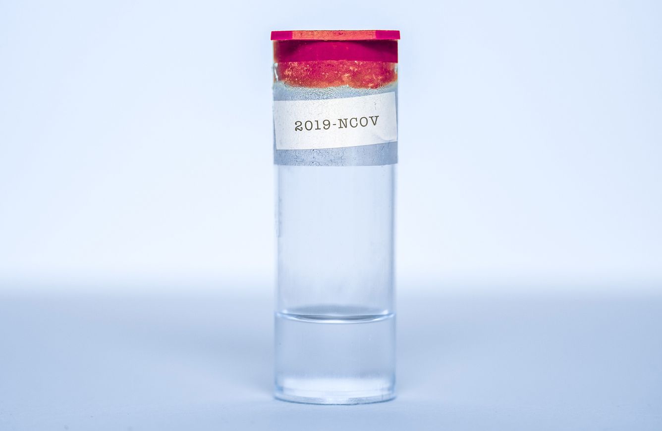 💉 Första peer-reviewed försöket som visar att ett vaccin mot covid-19 ger antikroppar mot viruset