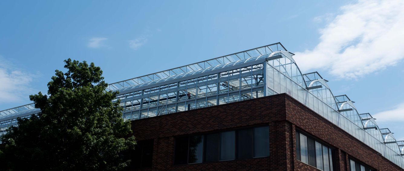 🏢 Växthus på tak kan föda två procent av Montreals befolkning