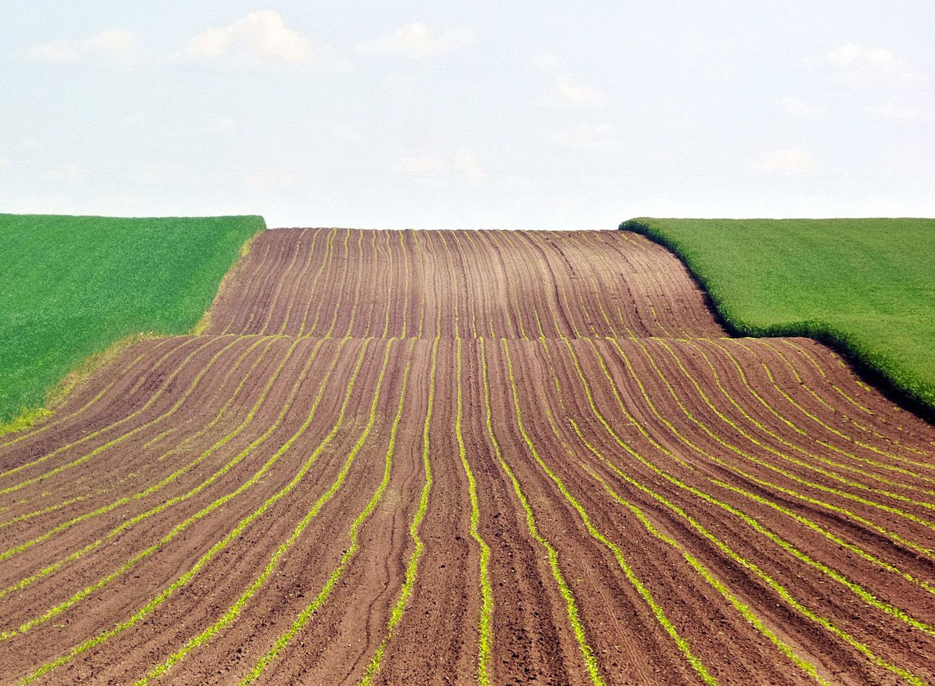 🍲 En AI-analys visar att vi kan stoppa svälten i världen för två procent av USA:s försvarsbudget