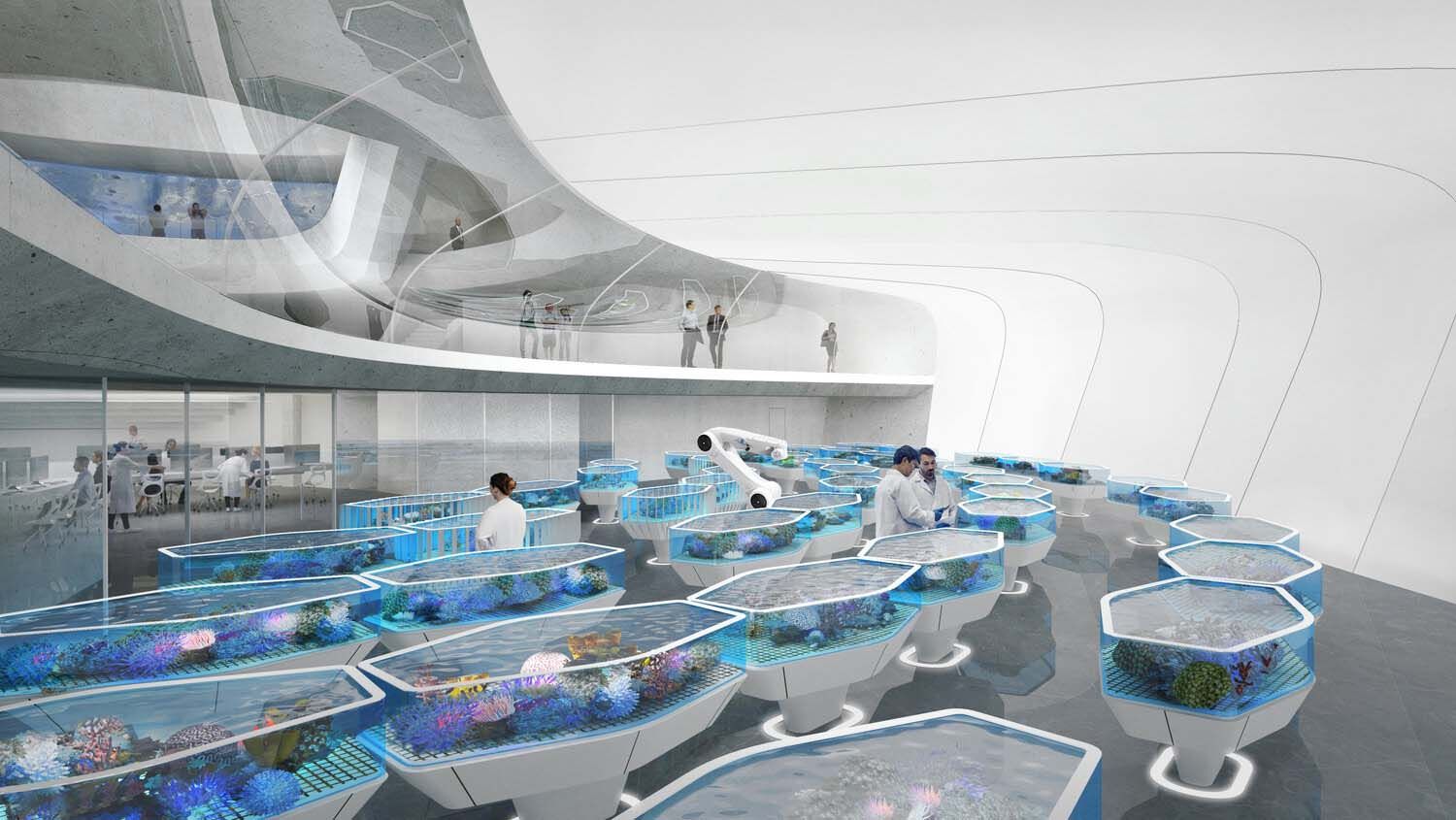 🐠 Australien bygger ett domedagsvalv för korallrev