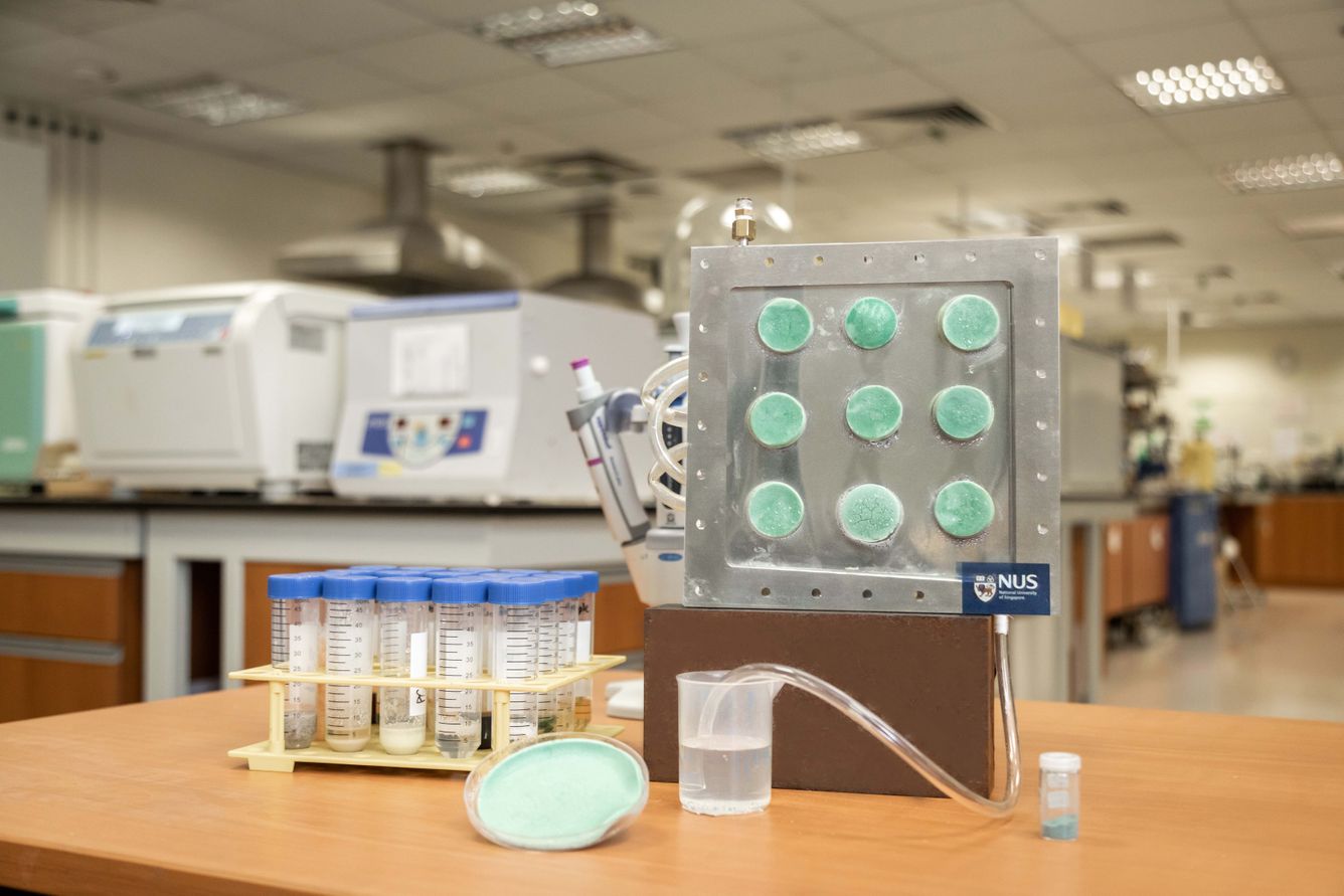 💧 ”Svampen” som fångar vatten ur tomma luften