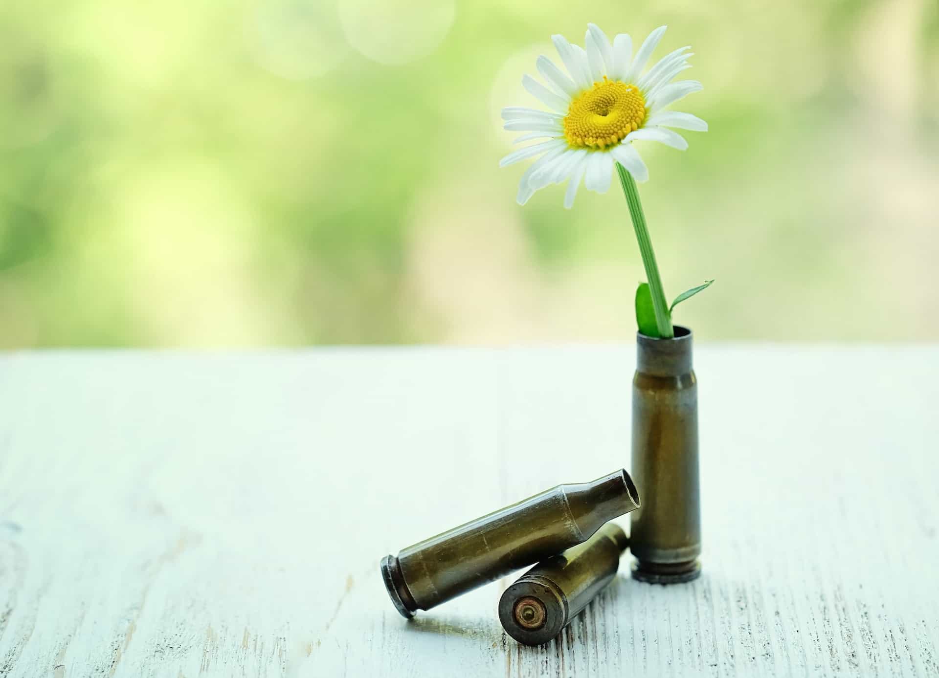 🕊 Så gör vind- och solenergi världen fredligare