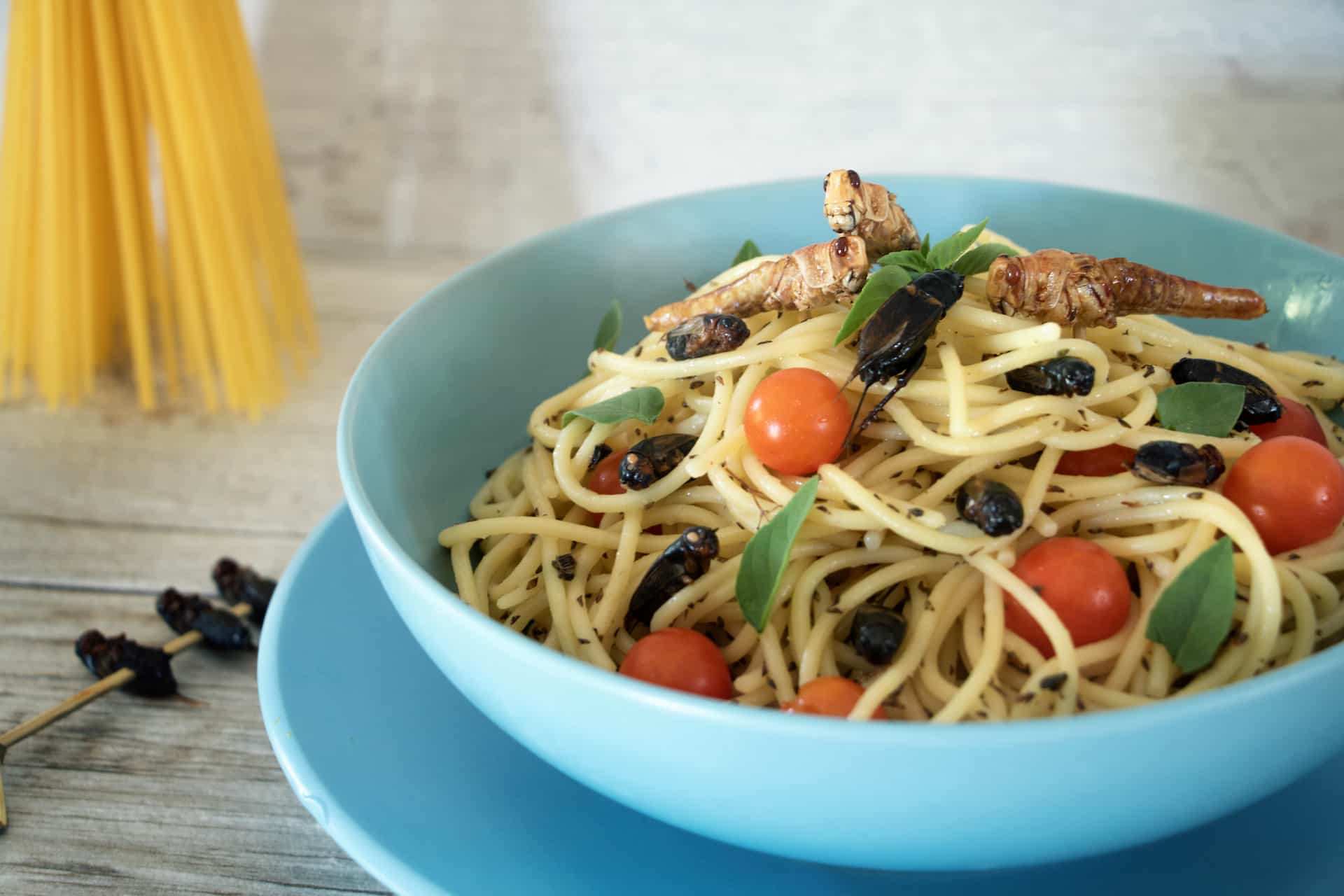 🥗 Är du redo för den nya maten? – invasiva arter, insekter och fisk på land