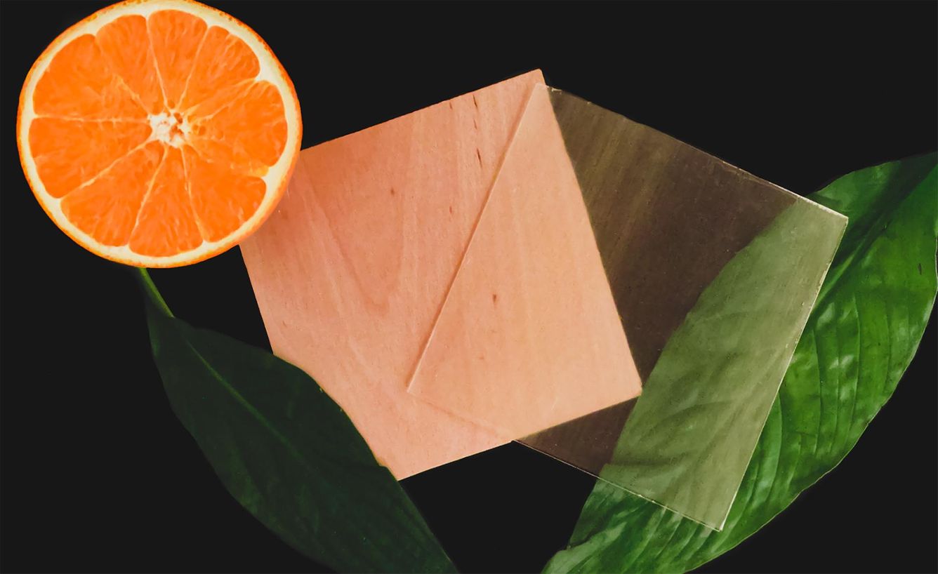 🌳 Ny typ av genomskinligt trä