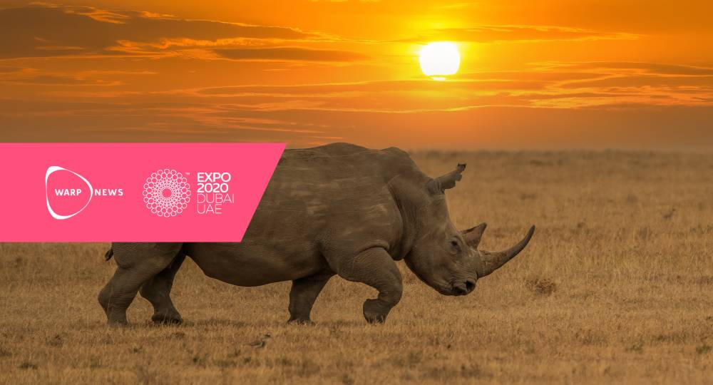 🦏 Space for Wildlife lanserades vid världsutställningen Expo 2020