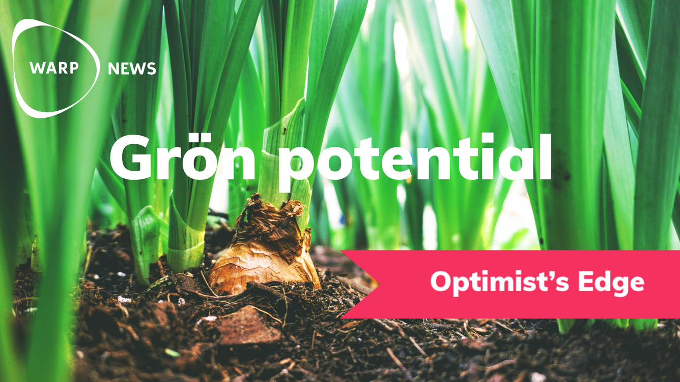 💡 Så får du mer avkastning på ditt avfall