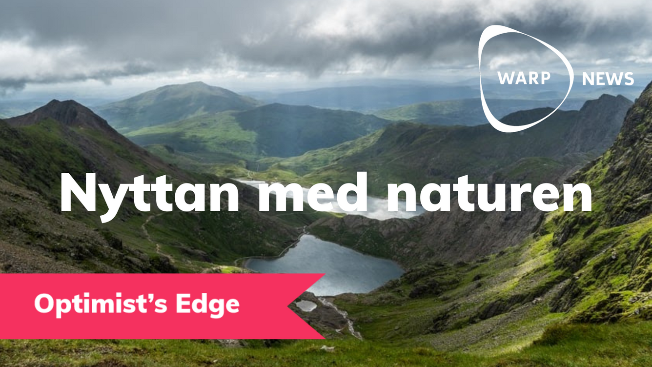 💡 Optimist's Edge: Sex fördelar med mer skyddad natur