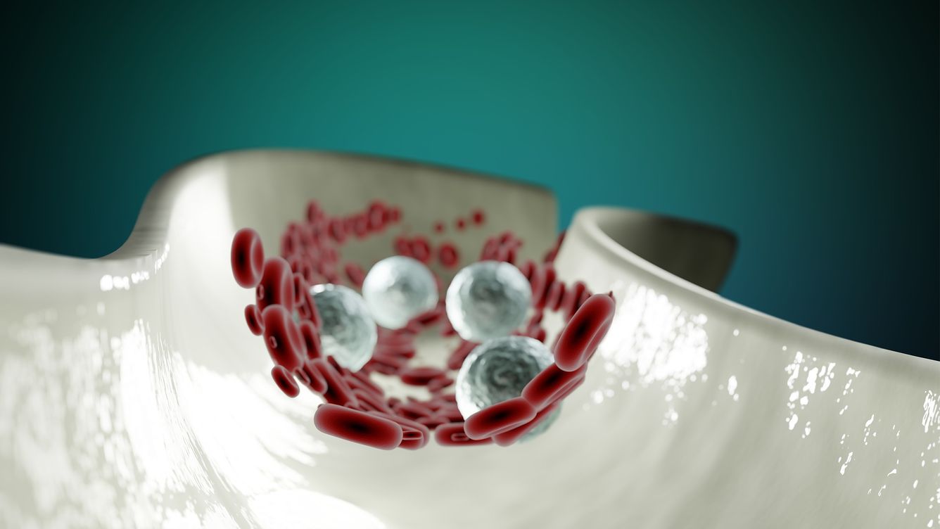 🧫 Omprogrammerade immunceller ger effektivare cancerbehandling