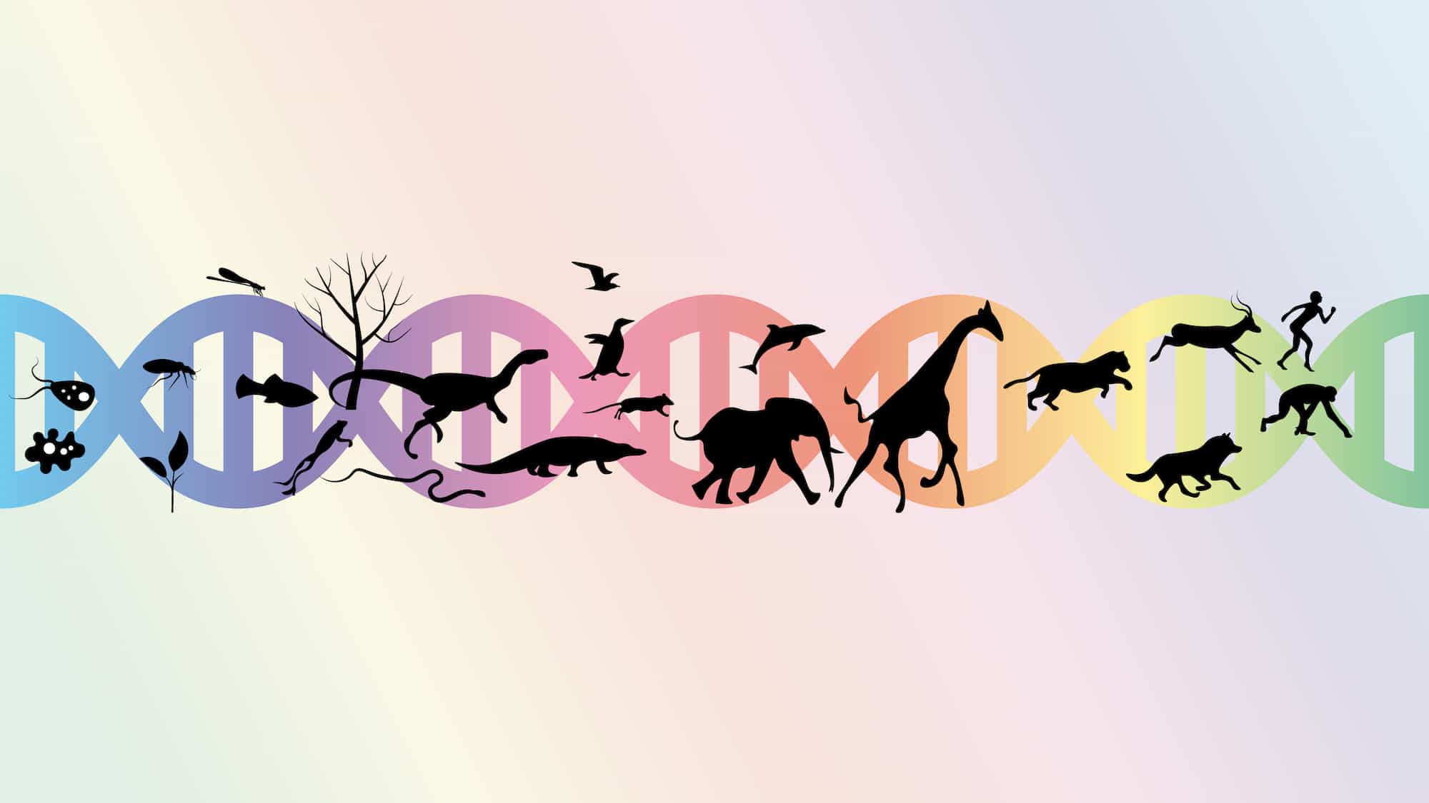 🧬 Utdöda djur kan få nytt liv med gensaxen CRISPR