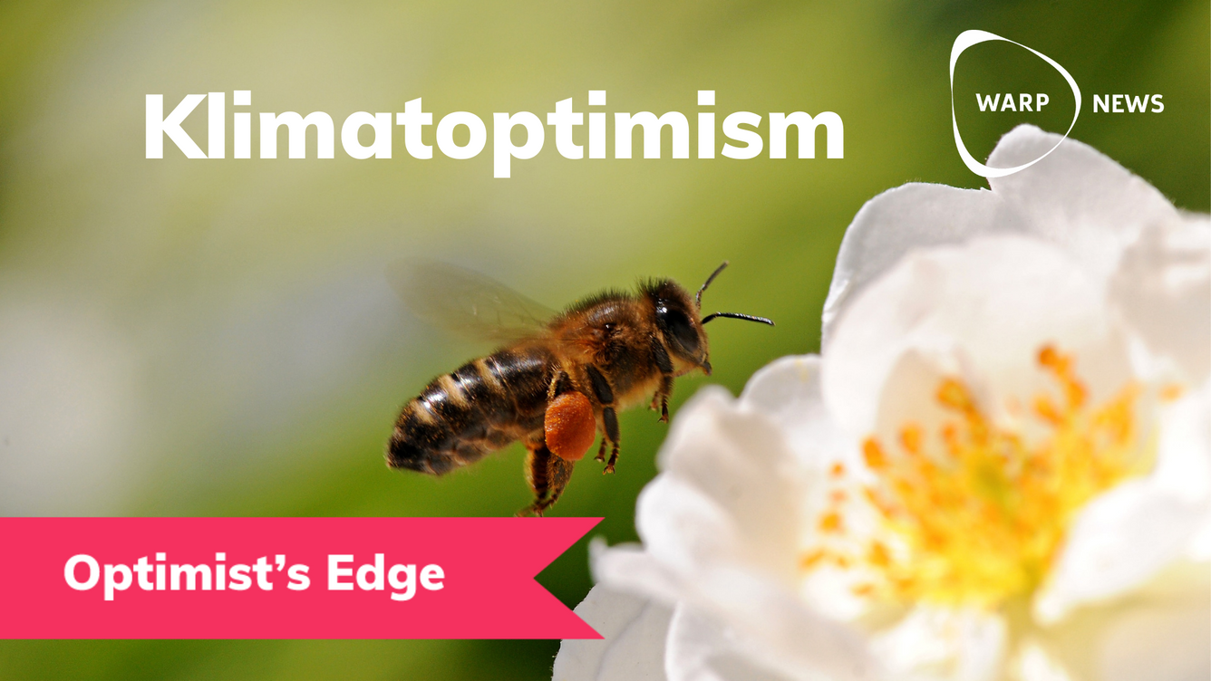 💡 Optimist’s Edge: Du kan vara en mindre miljöbov än du tror