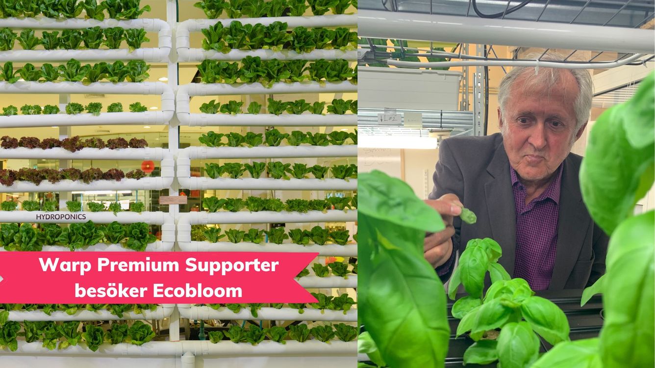 🌱 Smaka på framtiden