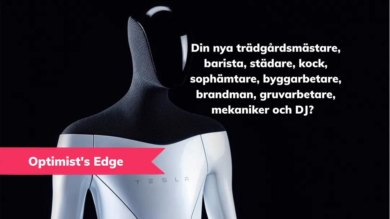 💡 Optimist’s Edge: Kommer Tesla Bot att ersätta allt mänskligt kroppsarbete?