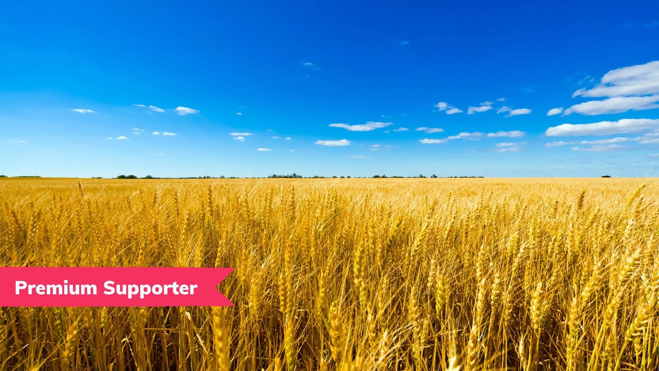 ♻️ Tonåringen som förändrar världen och vår tids viktigaste debatt