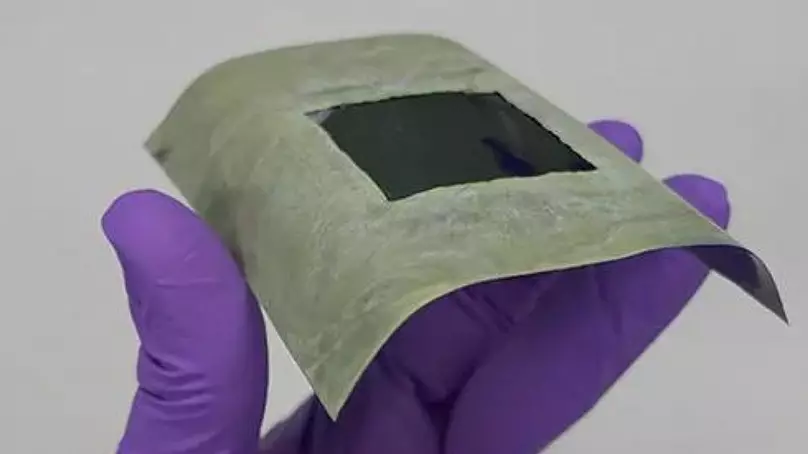 🍁 Flytande konstgjorda löv skapar bränsle från solljus