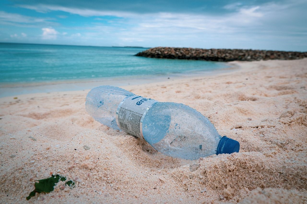 🥤 ”Plastpant” rensar upp havet
