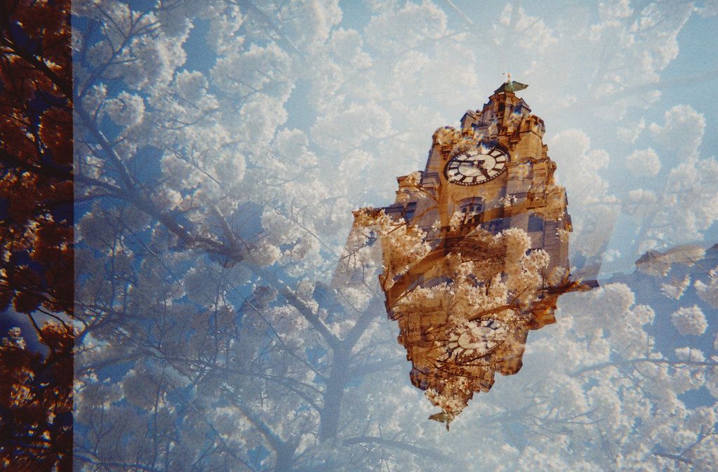 ⏱️ Uråldrig sjukdom kan bli modern medicin