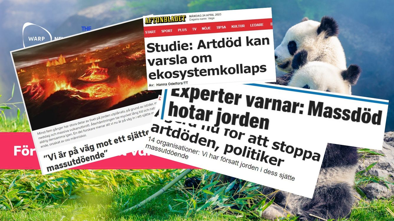 🔎 Därför granskar vi det sjätte massutdöendet
