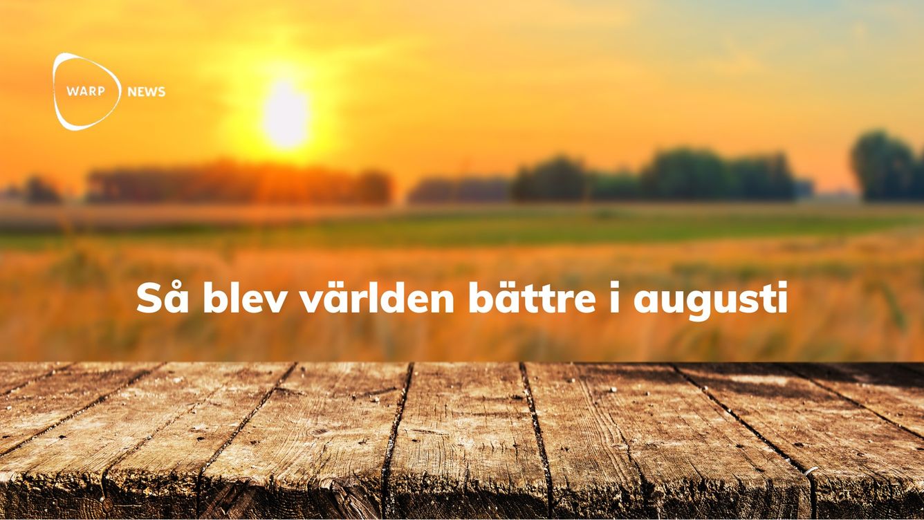 💡 Hopescrolling: 24 optimistiska nyheter i augusti