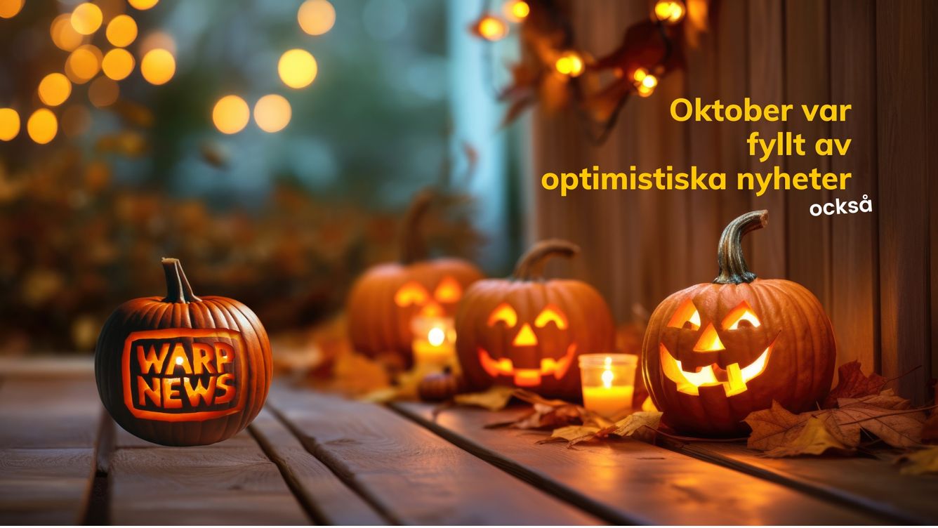 💡 Hopescrolling: 32 optimistiska nyheter från oktober