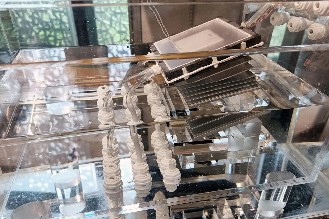 🚰 MIT: Avsaltning av färskvatten billigare än kranvatten