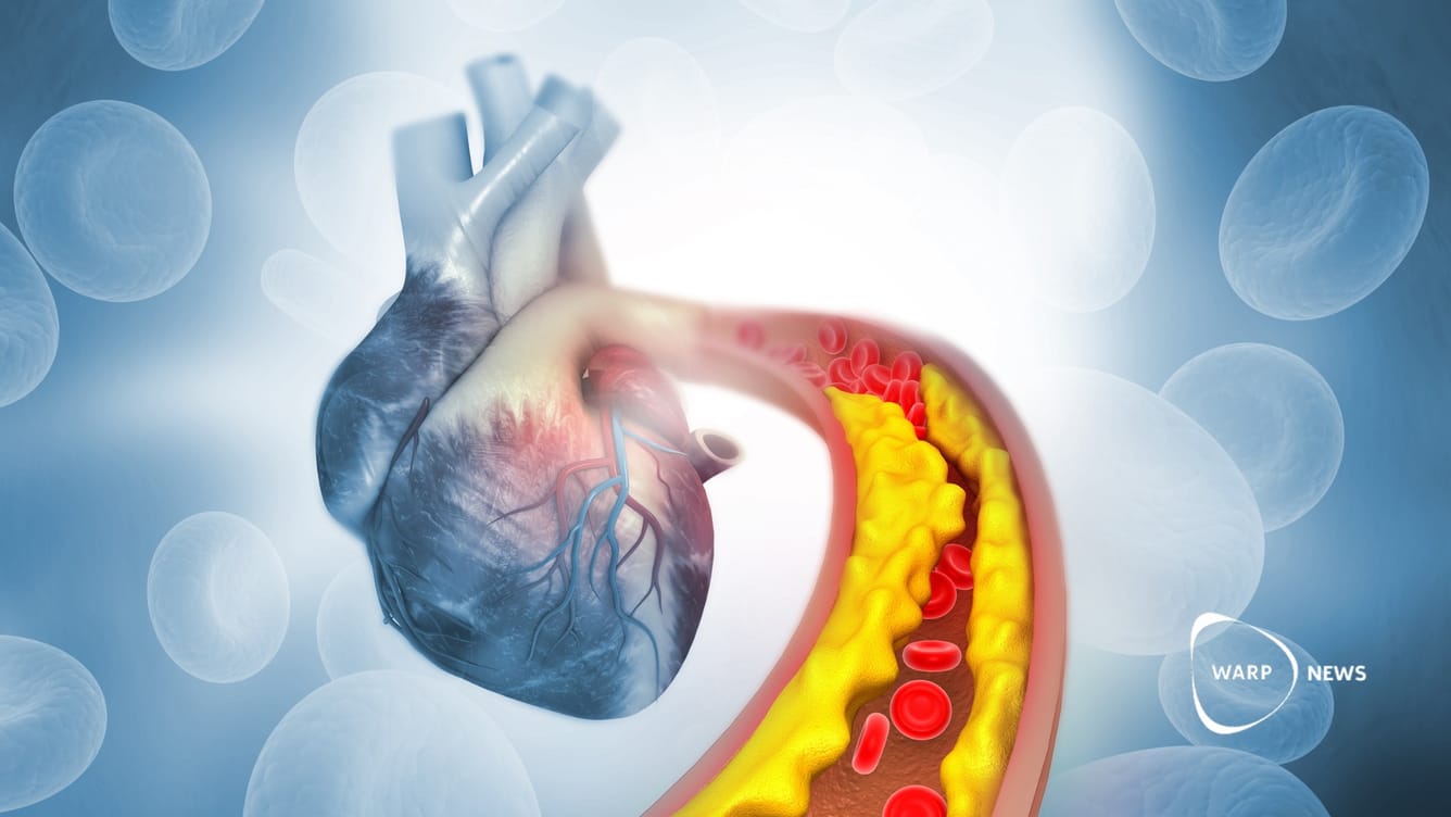 🩸 Gensaxen CRISPR minskar kolesterol i lovande test