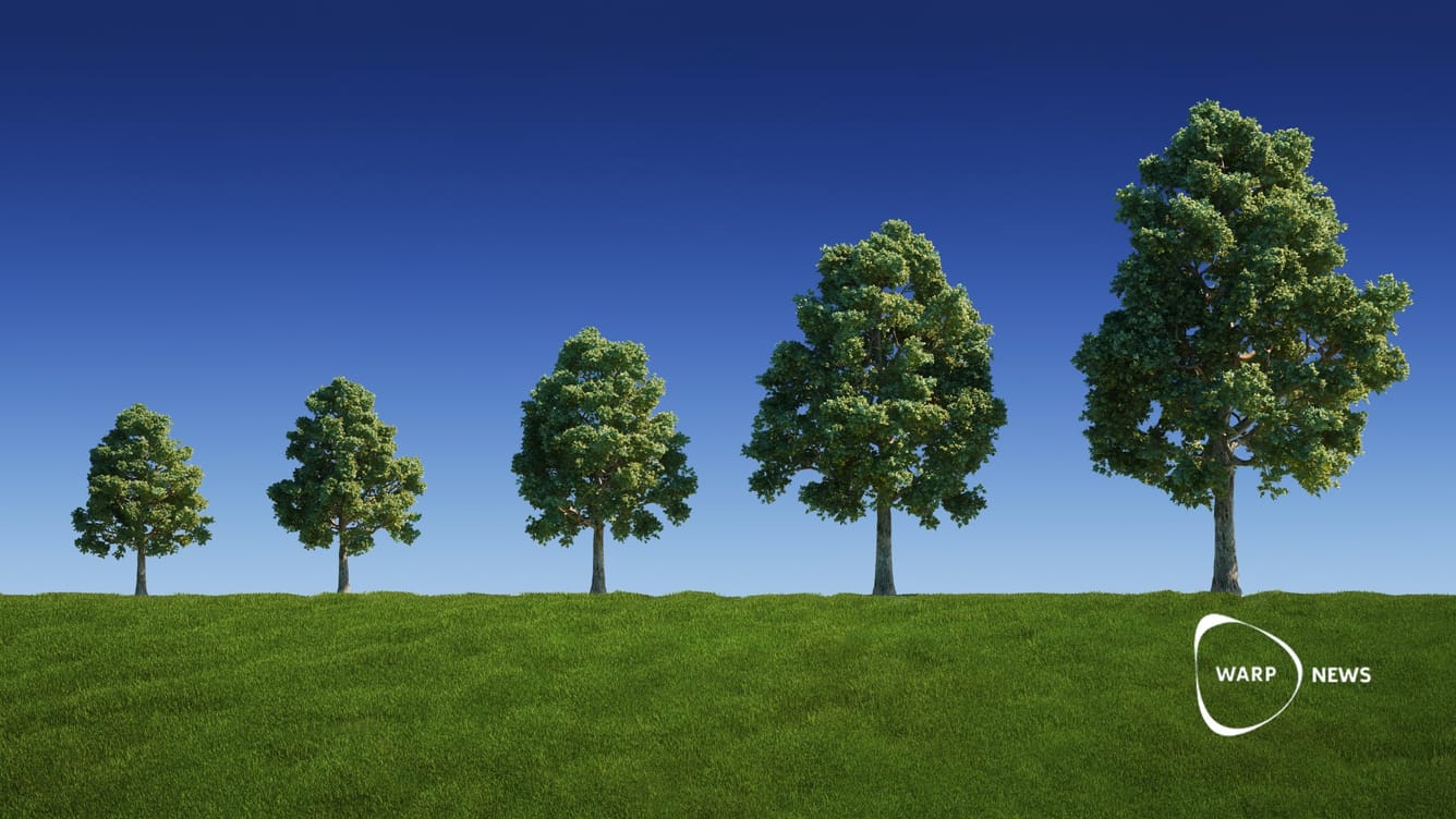 🌳 Att låta befintliga träd växa kan lagra en tredjedel av våra koldioxidutsläpp