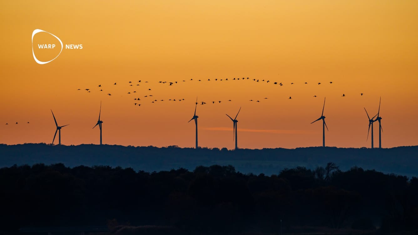 🐦 Studie visar minimal påverkan av vindkraftverk på fågelpopulationer