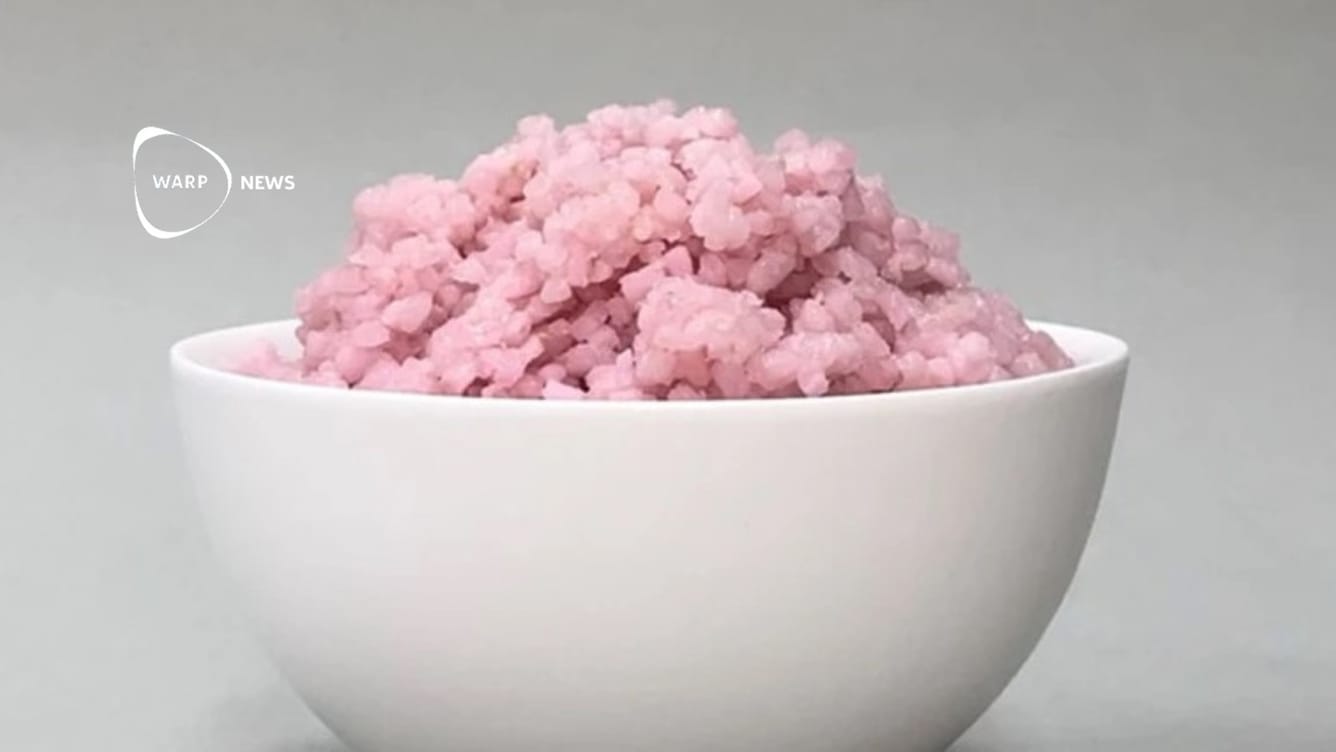 🍚 Kött-ris: Gryn med tillsatt muskel stärker proteininnehållet