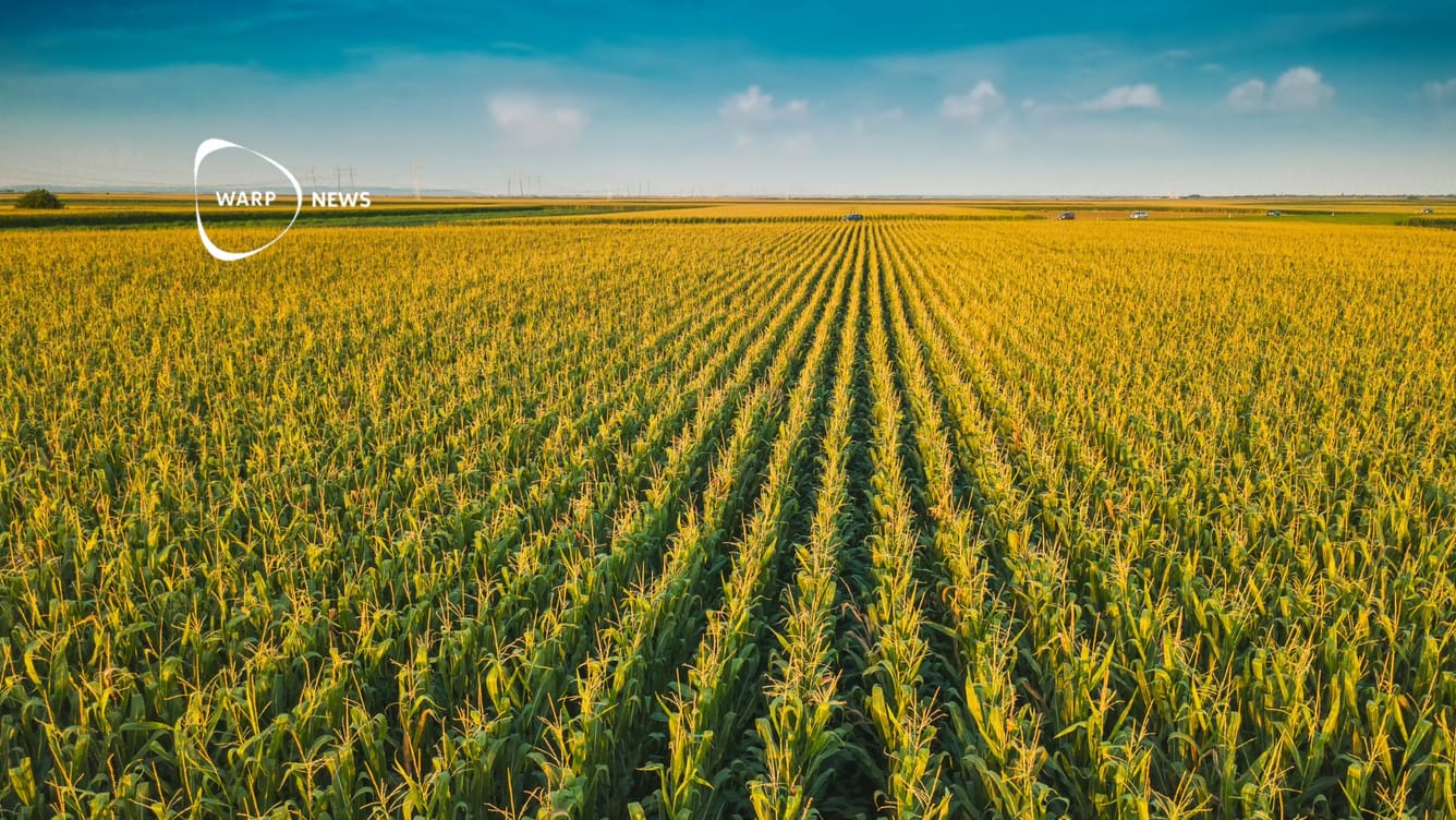 🌽 Matprisindexet sjunker för sjunde månaden i rad – lägsta på tre år
