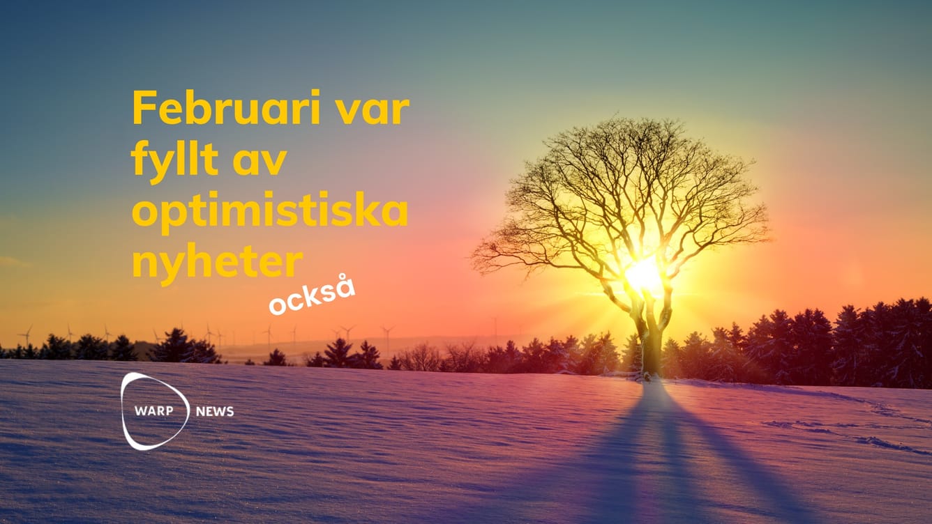 💡 23 faktabaserade optimistiska nyheter från februari