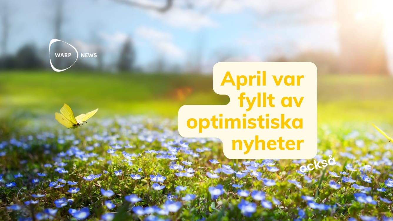 💡 24 faktabaserade optimistiska nyheter från april